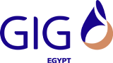 GIG Insurance Partner Logo