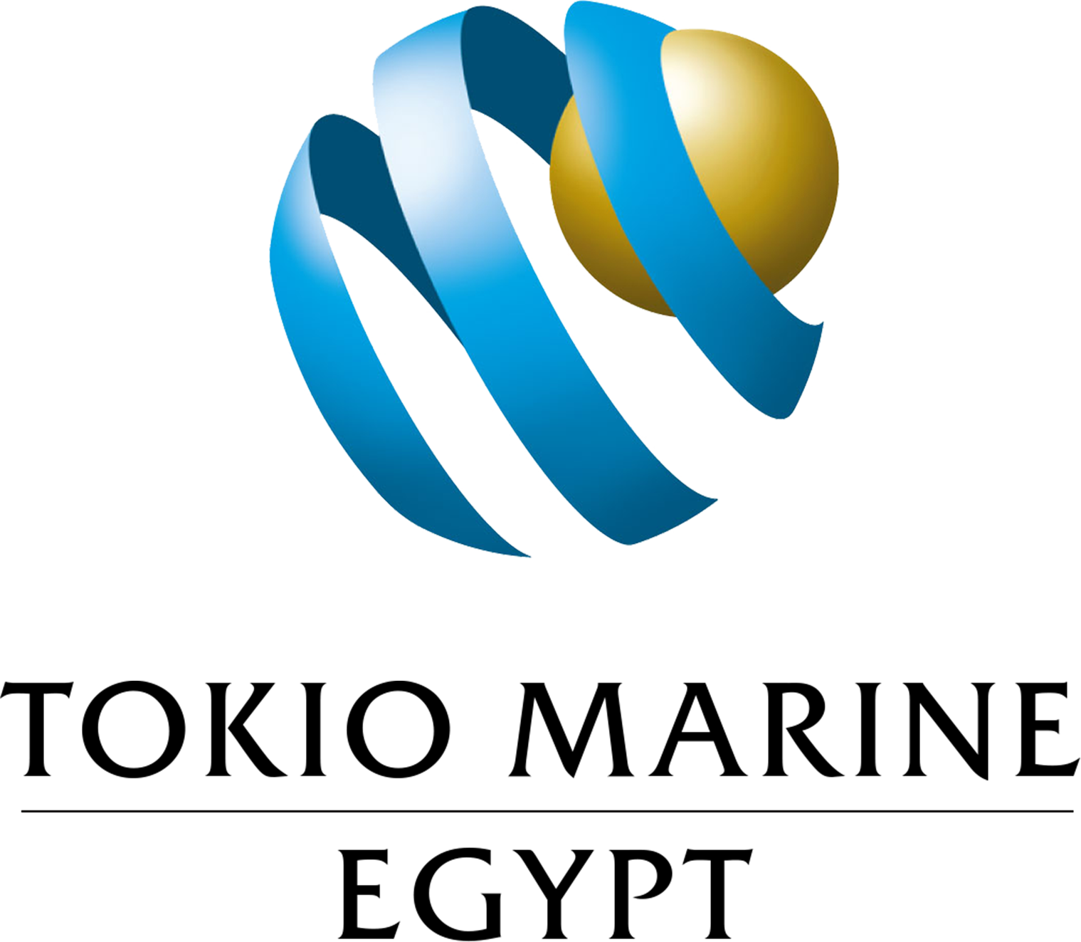 Tokyo Marine Partner Logo
